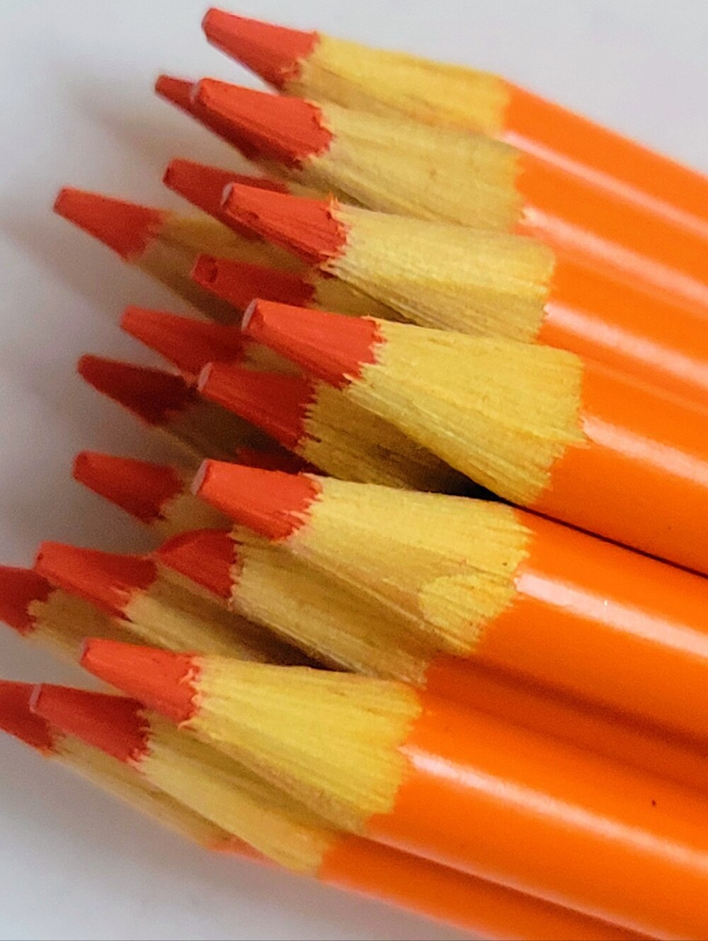 20ct Crayola Colored Pencils (Orange) Single Color Bulk Lot